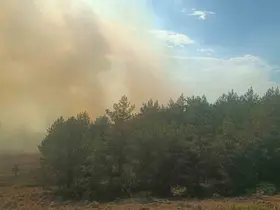 Bolu’da anız yangını ormana sıçradı: 2 helikopter sevk edildi
