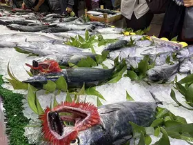 Bolu’da balık tezgahlarında palamut bereketi yüz güldürüyor
