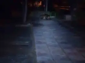 Bolu’da çocuk parkına ayı girdi
