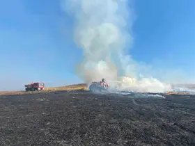 Bolu’da elektrik direğinden çıkan yangında 8 dekar alan zarar gördü

