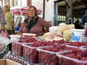 Bolu’da köylüler hem üretiyor hem satıyor
