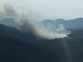 Bolu’da kritik orman yangını uyarısı
