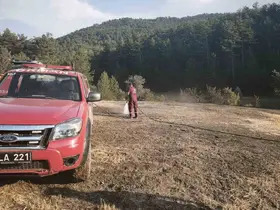 Bolu’da orman kenarında anız yangını: Köylülerin su tankerli müdahalesi faciayı önledi
