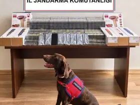 Bolu’da yolcu otobüsünde kaçak ürün ele geçirildi
