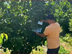 Bolu’nun fındık rekoltesi için sahadan veri toplandı
