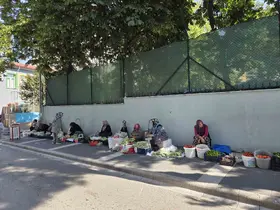 Boyu küçüldükçe fiyatı artıyor
