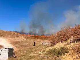 Bozüyük’te tarım arazisinde yangın çıktı
