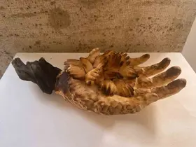BŞEÜ’den uluslararası yarışmada büyük başarı
