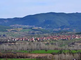 Bu köyde vatandaşlar sandık başına gitti
