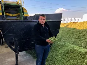 Bu slajlık yem ve saman hem ekonomik hem de verimli
