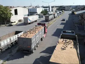 Buğday pazarında güvercinler de nasibini alıyor