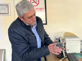 Bünyan’da çatıdan düşen kuş, yuvasına kavuşturuldu
