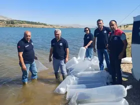 Burdur’da göl ve göletler yavru sazanlarla buluştu
