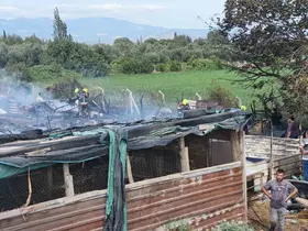 Burhaniye’de ahır yangını paniğe neden oldu
