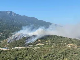 Bursa’da aynı anda 3 noktada yangın...Uludağ’ın etekleri yanıyor

