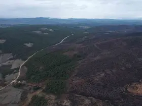 Bursa’da tarihin en büyük orman yangınında yaralar böyle sarıldı
