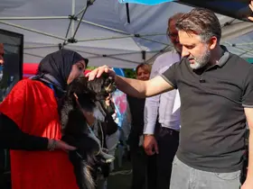 Büyükşehir’den can dostları için yuva seferberliği
