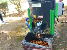 Büyükşehir’den Kemerli üreticilere ceviz soyma makinesi desteği
