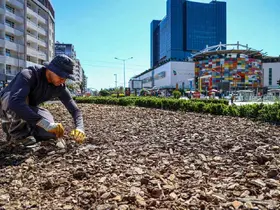 Büyükşehirden kuraklığa karşı sürdürülebilir peyzaj
