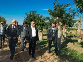 Büyükşehir’den yılda 20 bin fidan ve 50 bin metrekare rulo çim üretimi
