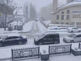 Çaldıran’da bahar beklenirken kış geri döndü
