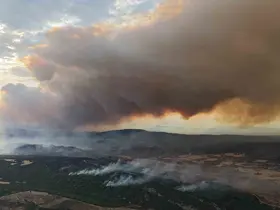 Çanakkale Valiliği uyardı, ormana girişler yasaklandı
