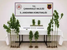 Çanakkale’de 3 ilçede uyuşturucu operasyonu
