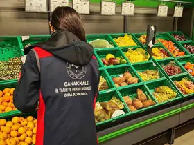 Çanakkale’de gıda denetimi
