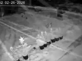 Çankırı’da kar yağışı etkili oluyor
