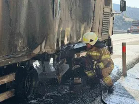 Canlı hayvan nakil aracı otoyolda alev aldı
