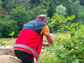Çarşamba Ovası’nda samuray arıcığı salındı
