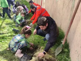 Çavdarhisar’da minikler okul bahçesine fidan dikti
