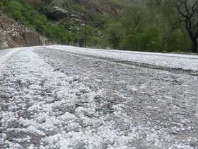 Çayırlı’da dolu yağışı etkili oldu
