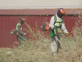Çayırova’da yabani ot temizlik çalışmaları sürüyor
