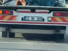 Çekicinin üzerinde araç değil tosun taşıdılar
