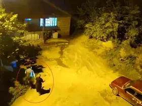 Cesaretleri ayının sesini duyana kadardı

