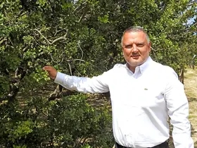 Çeşme damla sakızı uluslararası bilimsel yayına konu oldu
