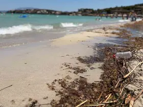 Çeşme sahillerindeki kirlilik tatilcilerin tepkisine neden oldu
