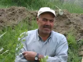 Ceviz ağacından düşerek öldü
