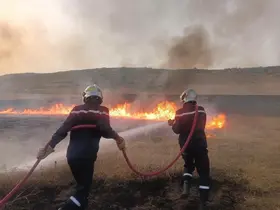 Cezayir’de son 24 saatte 6 bölgede 72 orman yangını
