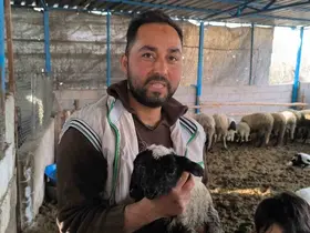 Çift başı ve 4 gözü ile doğan kuzu yaşama tutundu
