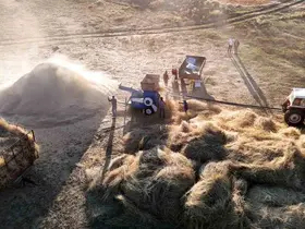 Çiftçiler patoza başladı, masalsı görüntüler ortaya çıktı
