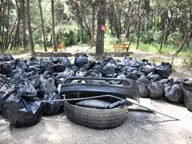 Çiftlik Park Mesire Alanı’nda çevre için el ele verildi
