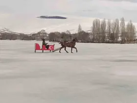 Çıldır Gölü’nde atlı kızak sezonu sona eriyor
