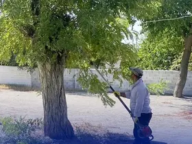 Çine’de okul bahçeleri yeni döneme hazır
