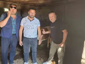 Çivril’de kaybolan iki buzağı mahalle halkını seferber etti
