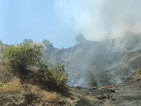 Çöp alanından sıçrayan ateş ormanlık alanı yaktı

