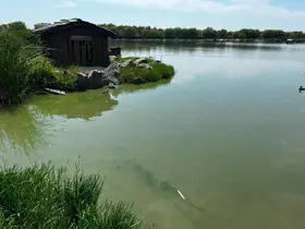Çorlu Gölbaşı Parkı’nda alg alarmı: Gölette çalışma başlatıldı
