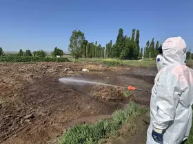Çorum Belediyesi vektörel mücadeleyi aralıksız sürdürüyor
