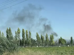 Çorum’da otluk alanda çıkan yangında 1 köpek yaralandı
